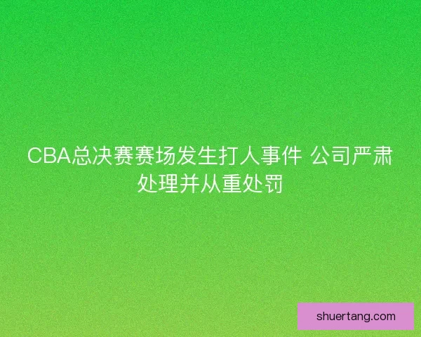 CBA总决赛赛场发生打人事件 公司严肃处理并从重处罚