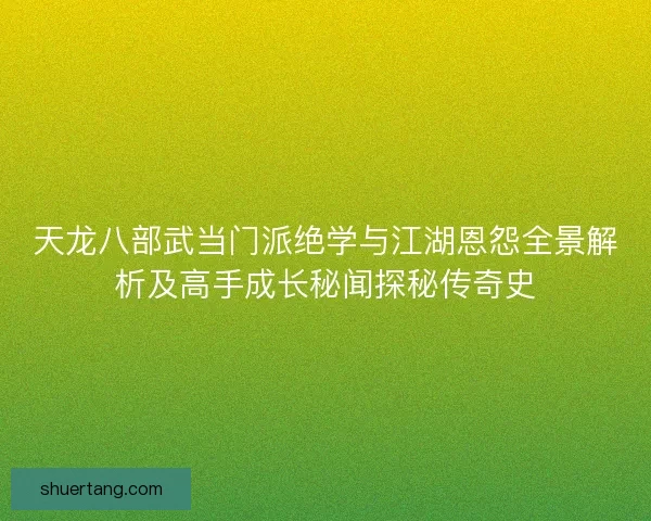天龙八部武当门派绝学与江湖恩怨全景解析及高手成长秘闻探秘传奇史