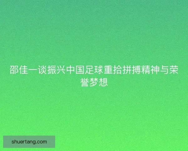 邵佳一谈振兴中国足球重拾拼搏精神与荣誉梦想